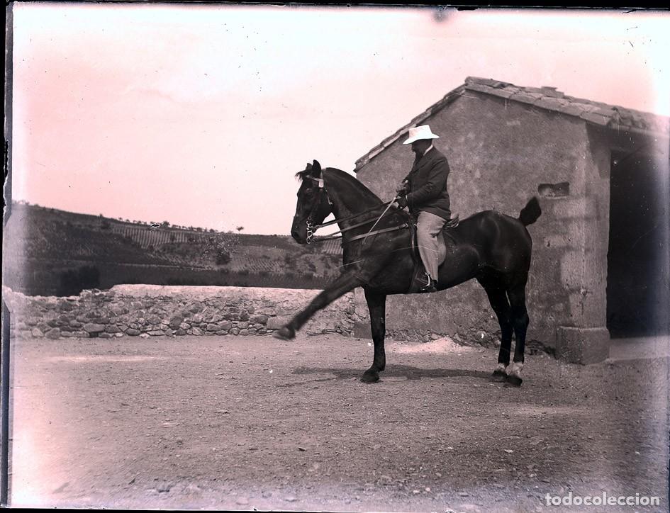 Fotograf&iacute;a antigua: HIPICA ANTIGUO NEGATIVO DE CRISTAL FORMATO 12 X 9 cm.