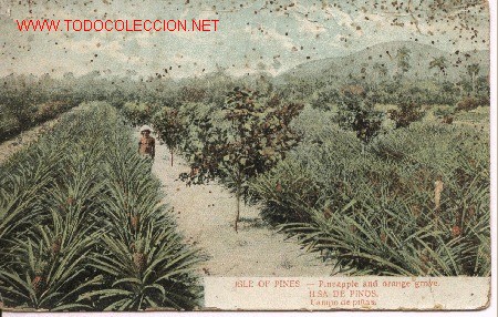 Alte Fotografie: Tarjeta Postal antigua de Cuba