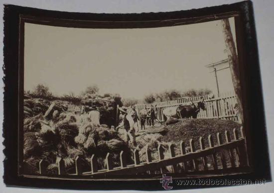 Fotografia antica: ANTIGUA FOTOGRAFIA DE GRANADA - SISTEMA GELATINA BROMURO - MIDE 10 X 7,4 CMS. - FINALES SIGLO XIX