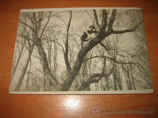 Antique Photography: ANTIGUA FOTOGRAFIA NI&Ntilde;O