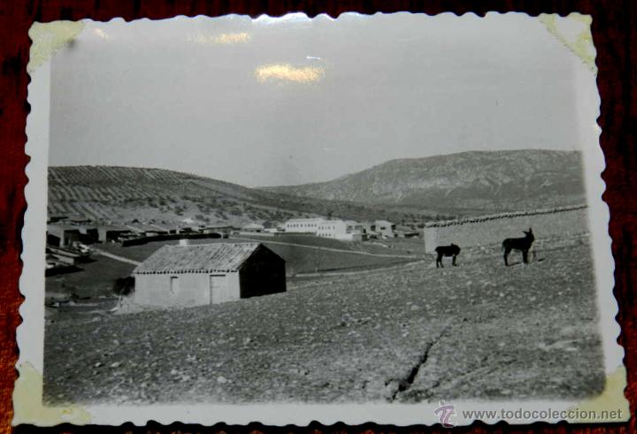 Fotografia antica: ANTIGUA FOTOGRAFIA DE PUEBLA DE DON RODRIGO (CIUDAD REAL) EN LA INAUGURACION DE UINA ESCUELA 40 - 50