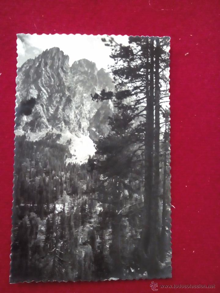 Antique Photography: BONITA FOTOGRAF&Iacute;A-TARJETA POSTAL. REGION DE ESPOT-SAN NICOLAU. N&ordm; 8. EDC SICILIA. CIRCULADA