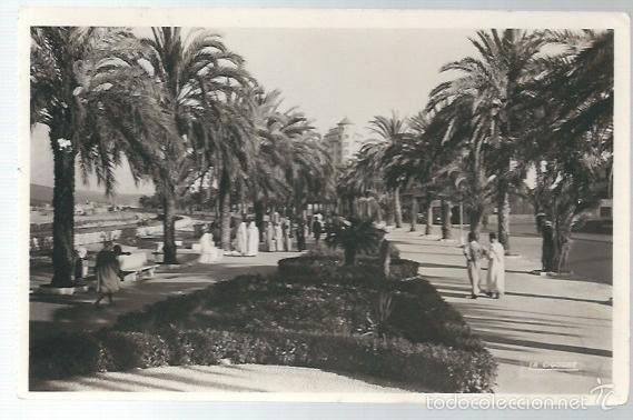 Antique Photography: POSTAL FOTOGRAFICA ANTIGUA -DE TANGER AVD. DE  ESPA&Ntilde;A - SIN CIRCULAR
