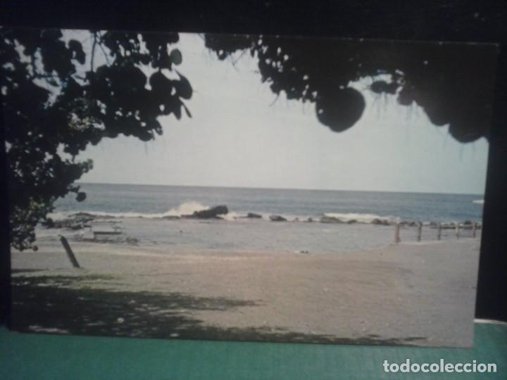 Fotograf&iacute;a antigua: TARJETA POSTAL - GUANTANAMO BAY .