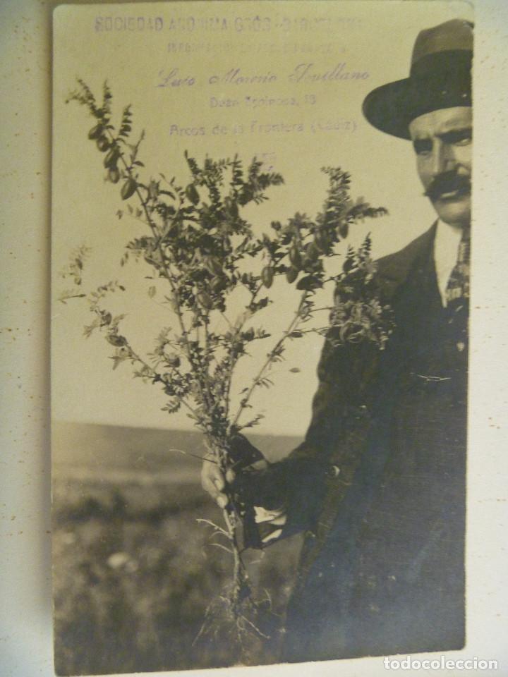 Fotografia antiga: FOTO DE SE&Ntilde;OR CON UN PLANTO. ARCOS DE LA FRONTERA
