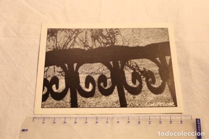 Alte Fotografie: FOTO CASTELLAR DE LA FRONTERA COLECCION 1997 DIANA HEIL BY THE EDGE/SIN CIRCULAR-ANDALUCIA