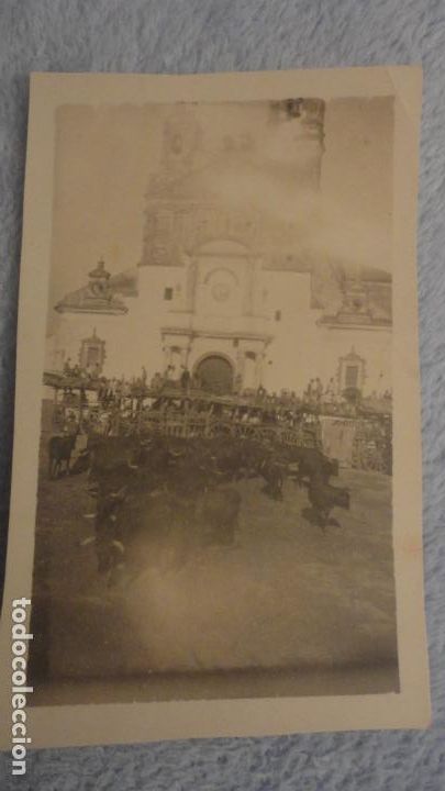 Antique Photography: ANTIGUA FOTOGRAFIA. FERIA.TOROS. GANADO. MUNICIPIO LA CAMPANA. SEVILLA A&Ntilde;OS 20.30
