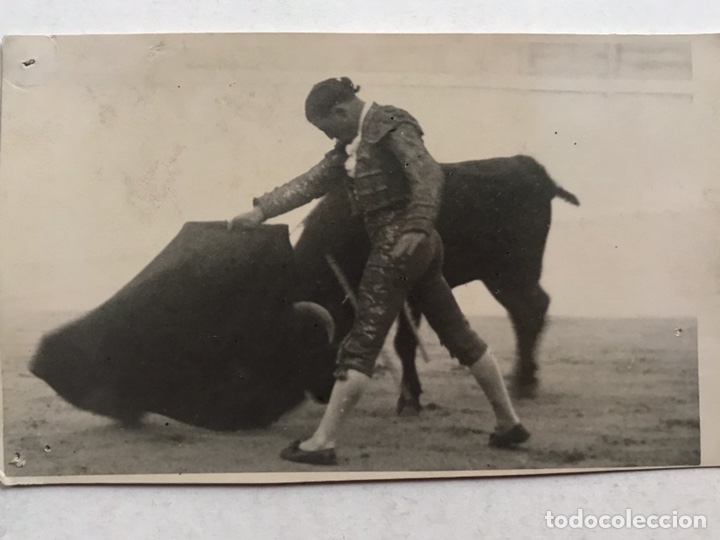 Fotografia antica: LA GLORIETA, Plaza de Toros de Salamanca. Tarde gloriosa, Torero An&oacute;nimo. FOTO EMILIANO (h.1940?)