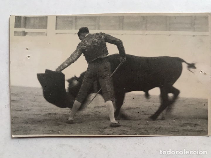 Fotografia antica: LA GLORIETA, Plaza de Toros de Salamanca. Tarde gloriosa, Torero An&oacute;nimo. FOTO EMILIANO (h.1940?)