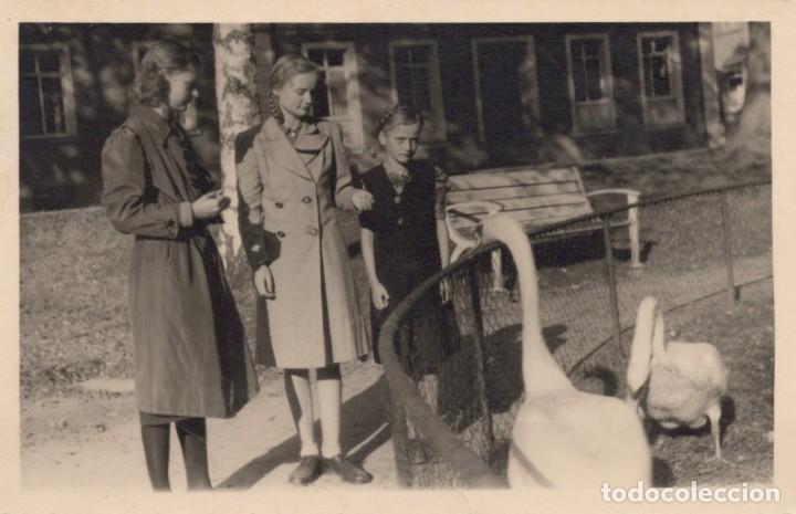 Fotografia antica: POSTAL RETRATO FOTOGRAFICO 3 CHICAS EN EL PARQUE ALIMENTANDO A LOS CISNES