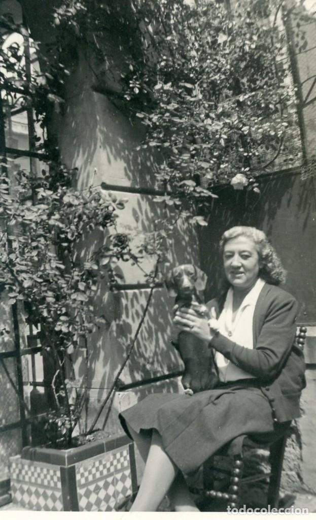 Alte Fotografie: POSTAL FOTOGRAFICA. MUJER CON TECKEL EN PATIO. CA 1950