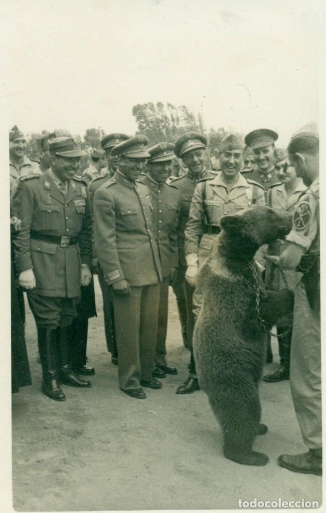 Fotografía antigua: MILITAR TERCIO DUQUE ALBA DE LA LEGION. DAR RIFFIEN. CADETES PORTUGUESES. 1953. DOS FOTOS CON OSO.