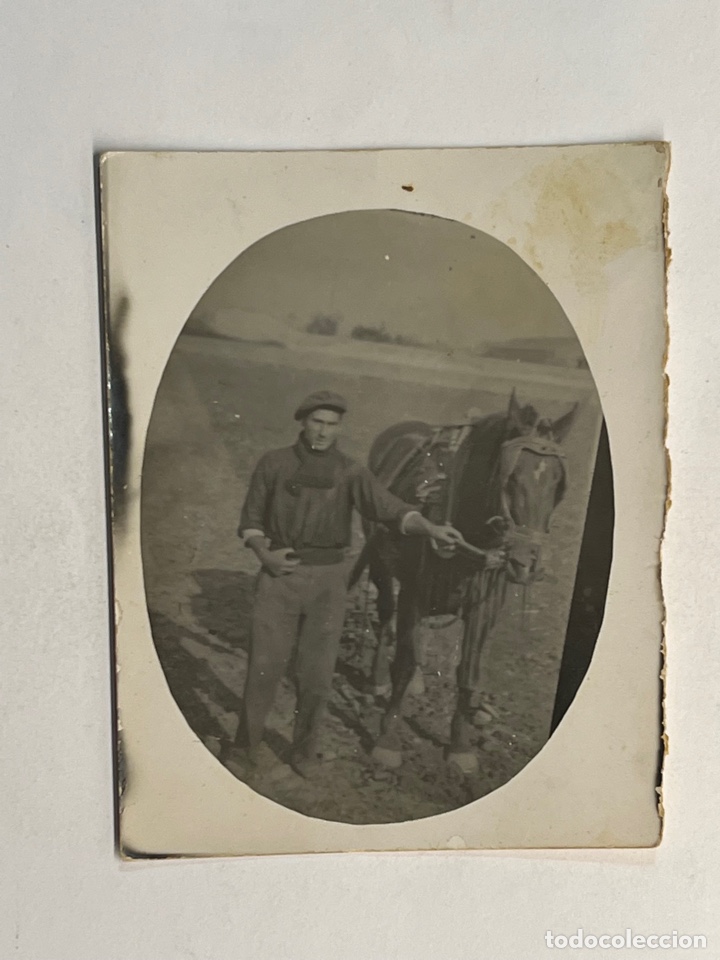 Fotograf&iacute;a antigua: MOLINA DE SEGURA. Arando el campo. Agricultura. Minuteros, fot&oacute;grafos de calle (h.1945?)