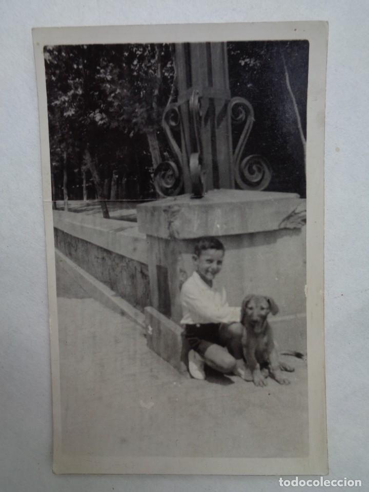 Fotografia antica: FOTO DE NI&Ntilde;O CON PERRO . PRINCIPIOS DE SIGLO