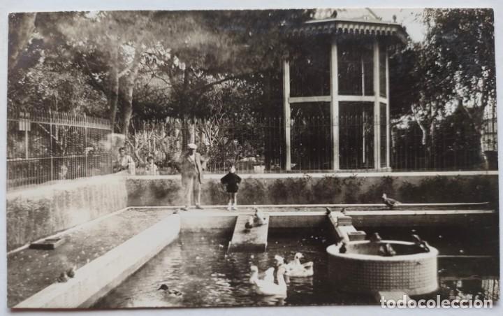 Fotograf&iacute;a antigua: MELILLA PARQUE HERNANDEZ - Foto 1