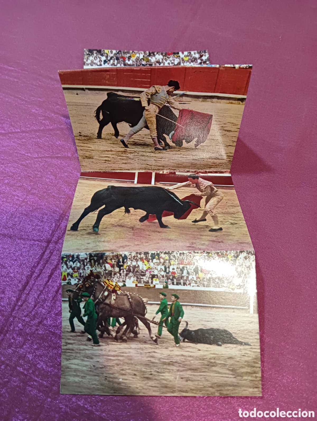 Antique Photography: Lote de 5 fotos taurinas en acorde&oacute;n