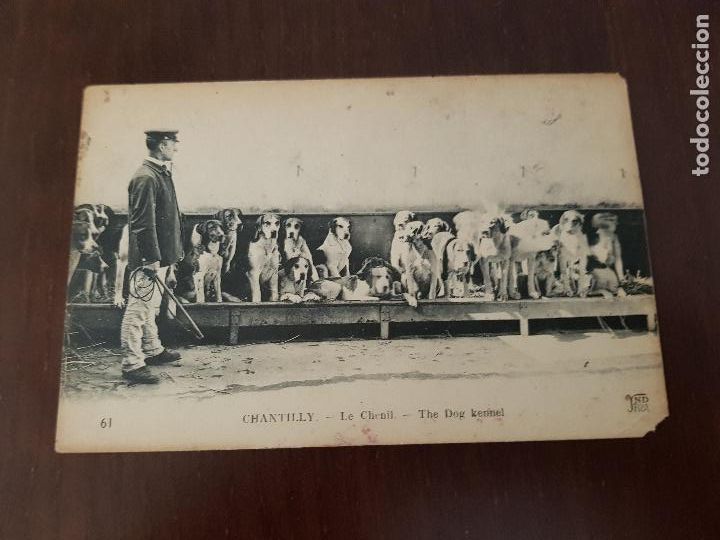 Alte Fotografie: CHANTILLY