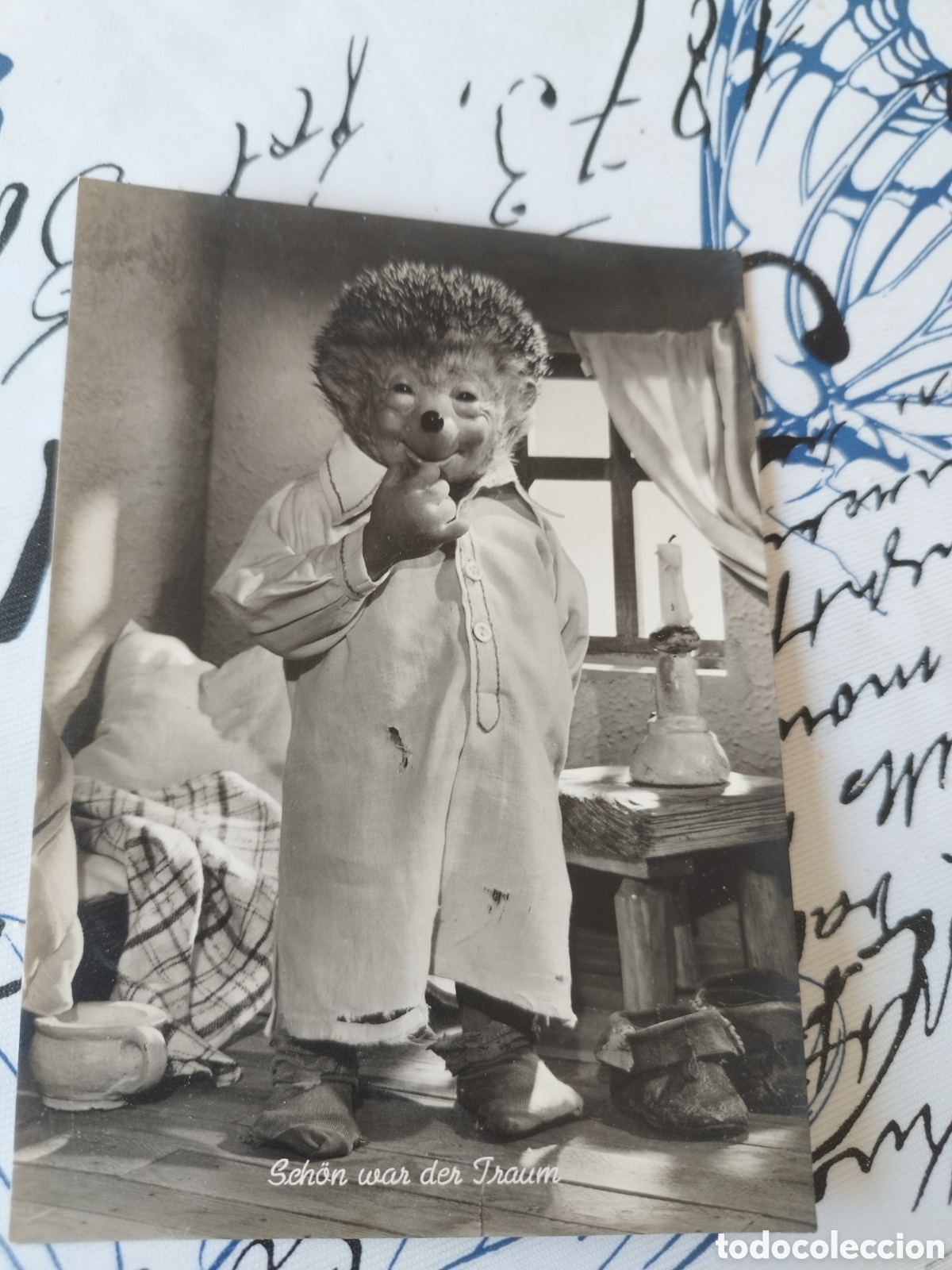 Antique Photography: Postal erizo mecki