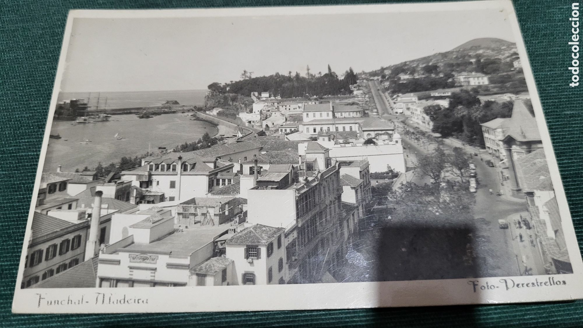 Fotografia antica: Fotograf&iacute;a antigua Madeira Portugal