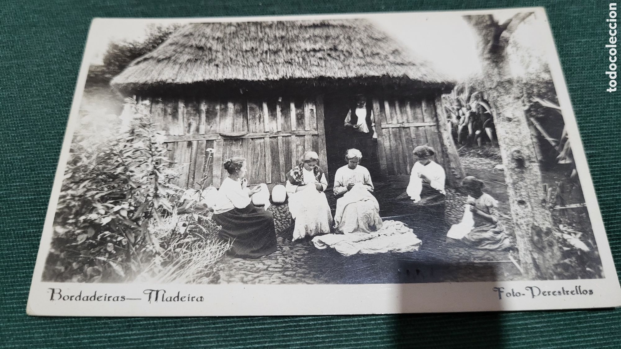 Fotografia antica: Fotograf&iacute;a antigua Madeira. Portugal