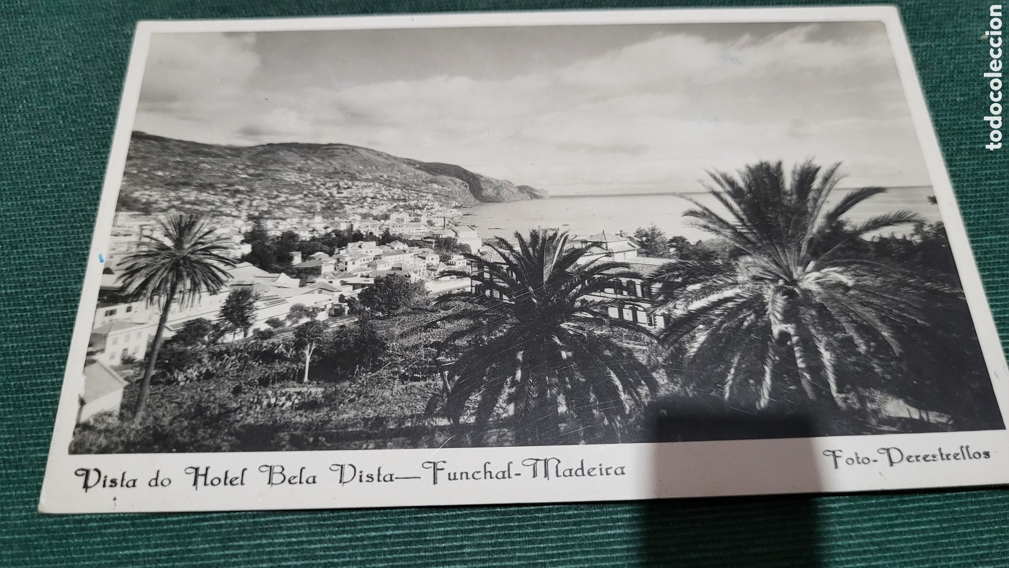 Fotografia antica: Fotograf&iacute;a antigua Madeira Portugal