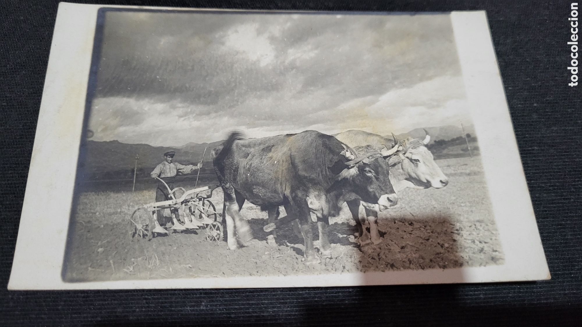 Antique Photography: Fotograf&iacute;a antigua