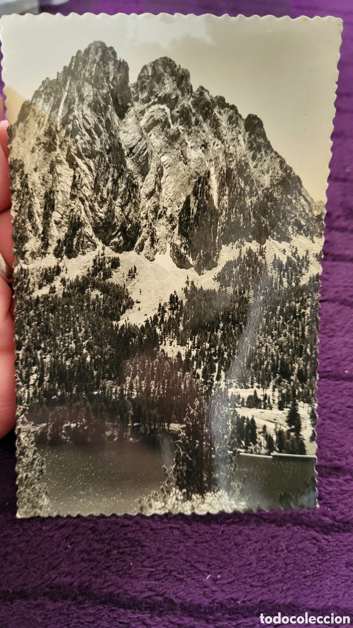 Antique Photography: Fotograf&iacute;a antigua usada Regi&oacute;n de Espot y San Nicolau