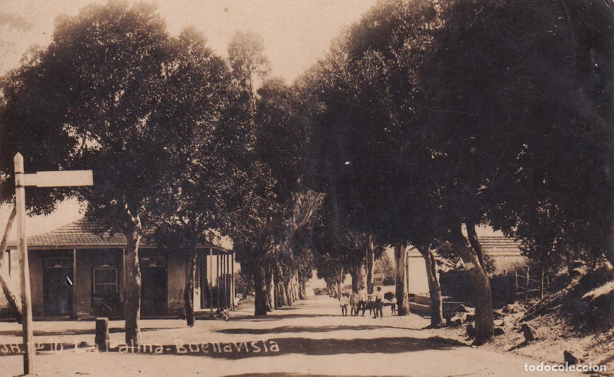 Alte Fotografie: CANARIAS LA PALMA - BUENAVISTA