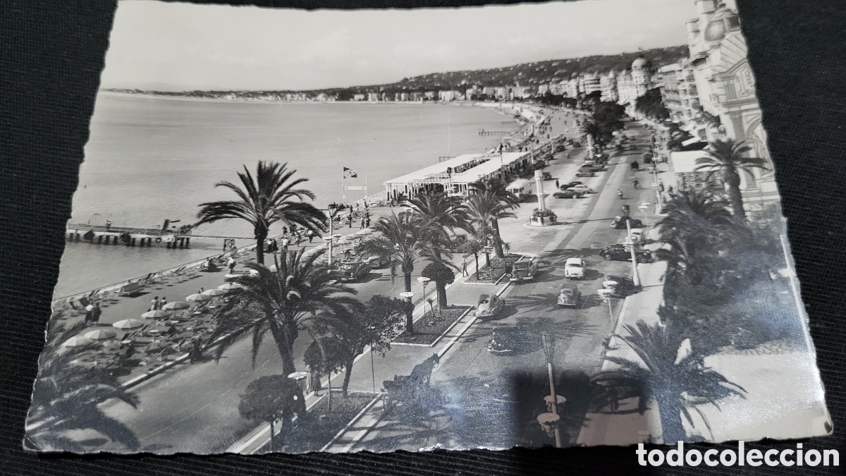 Antique Photography: Fotograf&iacute;a antigua Princioato de Monaco