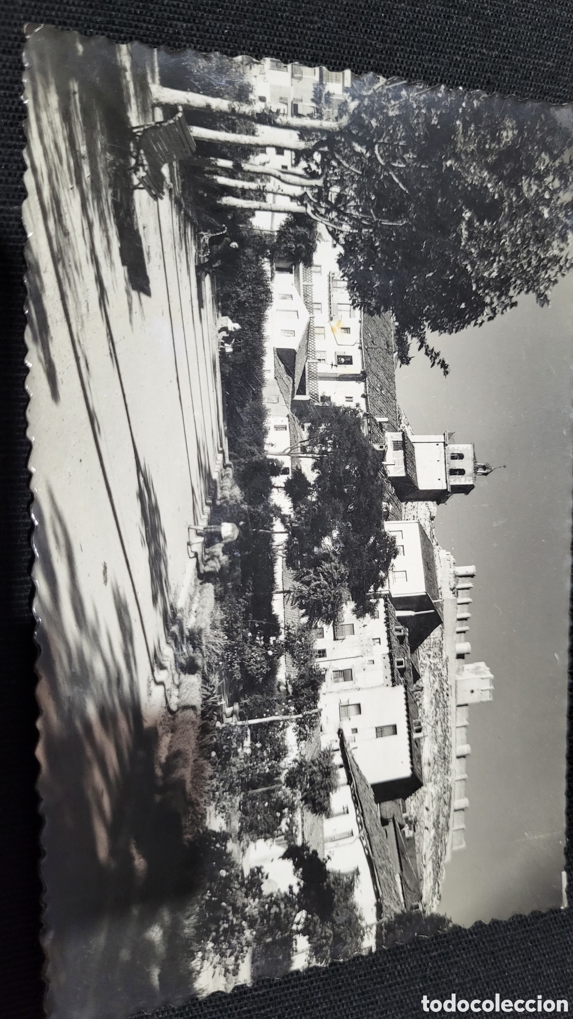 Alte Fotografie: Fotograf&iacute;a antigua Pe&ntilde;afiel