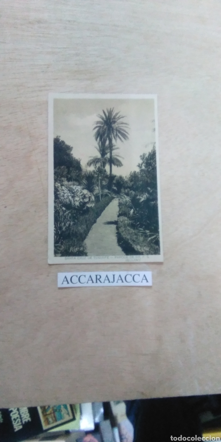 Antique Photography: Postal antigua. Santa Cruz de Tenerife. Parque de Mr. F.S. Bellamy