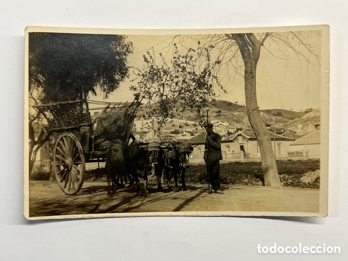 Alte Fotografie: GALICIA ? Fotograf&iacute;a antigua Carreta con bueyes. Vista panor&aacute;mica. (h.1945?)