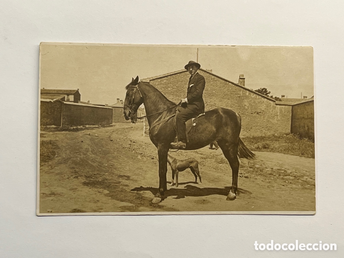 Antique Photography: FOTOGRAF&Iacute;A ANTIGUA. De Estirpe le viene al Galgo.. Se&ntilde;orito a Caballo (h.1930?)
