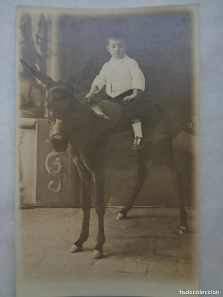 Fotografia antiga: MINUTERO DE FOTOGRAFO DE FERIA : NI&Ntilde;O EN UN BURRO ( DE VERDAD O DISECADO ) . PRINCIPIOS DE SIGLO