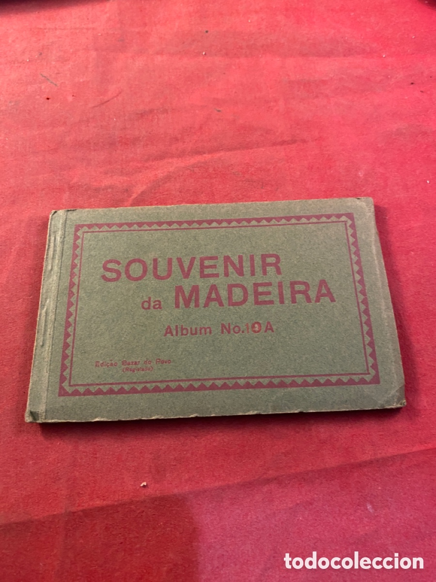 Alte Fotografie: SOUVENIR DE MADEIRA