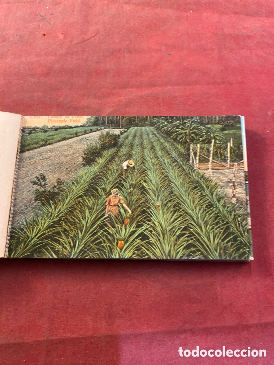 Fotograf&iacute;a antigua: HAVANA - Foto 2