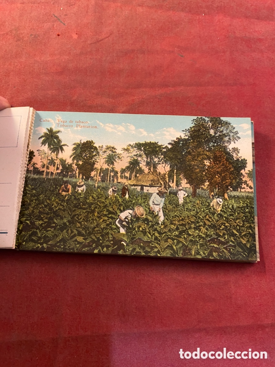 Fotograf&iacute;a antigua: HAVANA - Foto 4