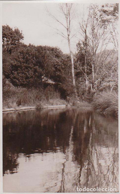 Alte Fotografie: Paisaje. Precioso lago rodeado de &aacute;rboles. A&ntilde;os 30. vr