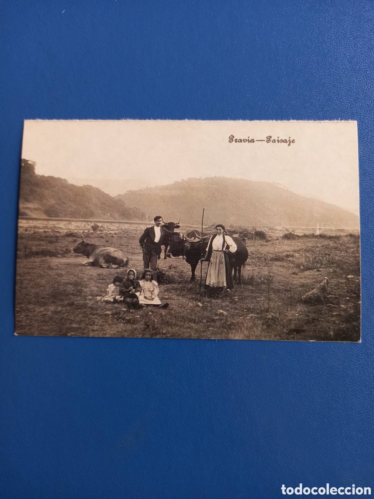 Fotograf&iacute;a antigua: TARJETA POSTAL PRAVIA - PAISAJE