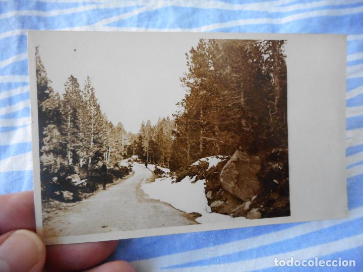 Alte Fotografie: ANTIGUA FOTOGRAFIA TIPO POSTAL FOTOGRAFICA. CAMINO DE FONT ROMEU A MONT LLUIS. A&Ntilde;OS 20