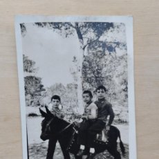 Fotografía antigua: FOTOGRAFÍA ANTIGUA DE TRES NIÑOS Y UN BURRO. ABRIL DE 1930