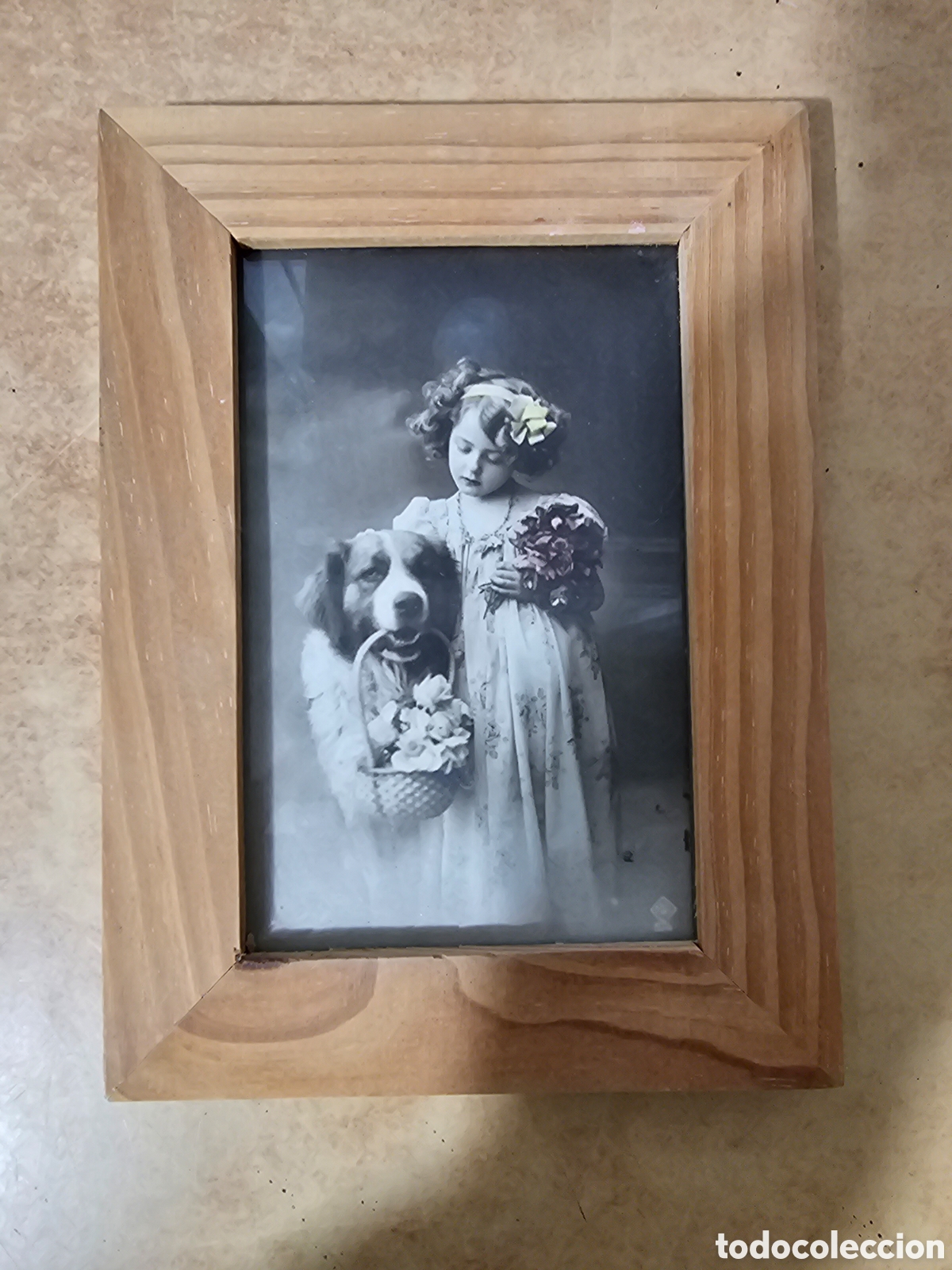 Fotografia antiga: Postal ni&ntilde;a con perro p. S. XX iluminada