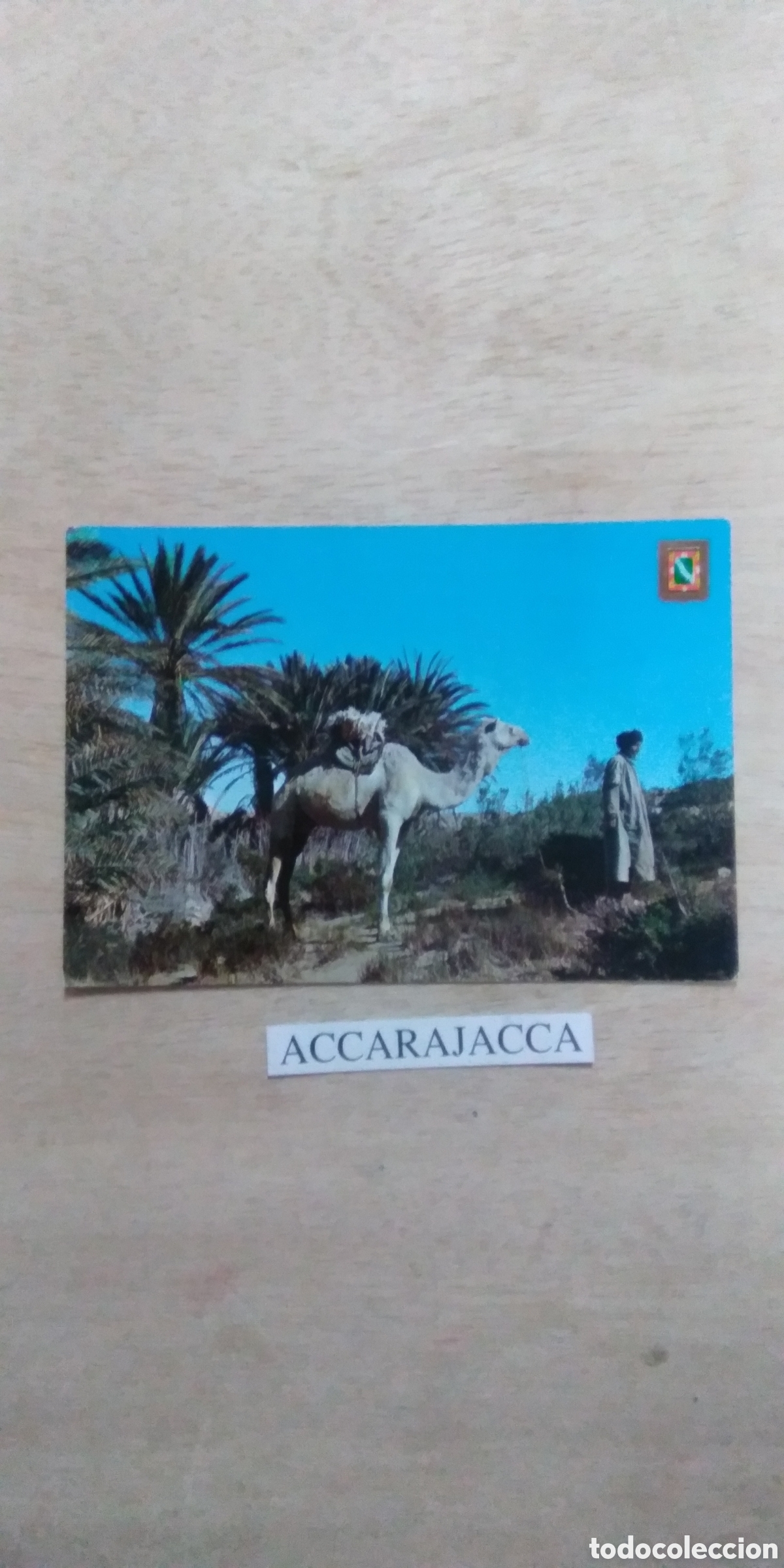 Alte Fotografie: Postal Aaiun. S&aacute;hara Espa&ntilde;ol. Oasis