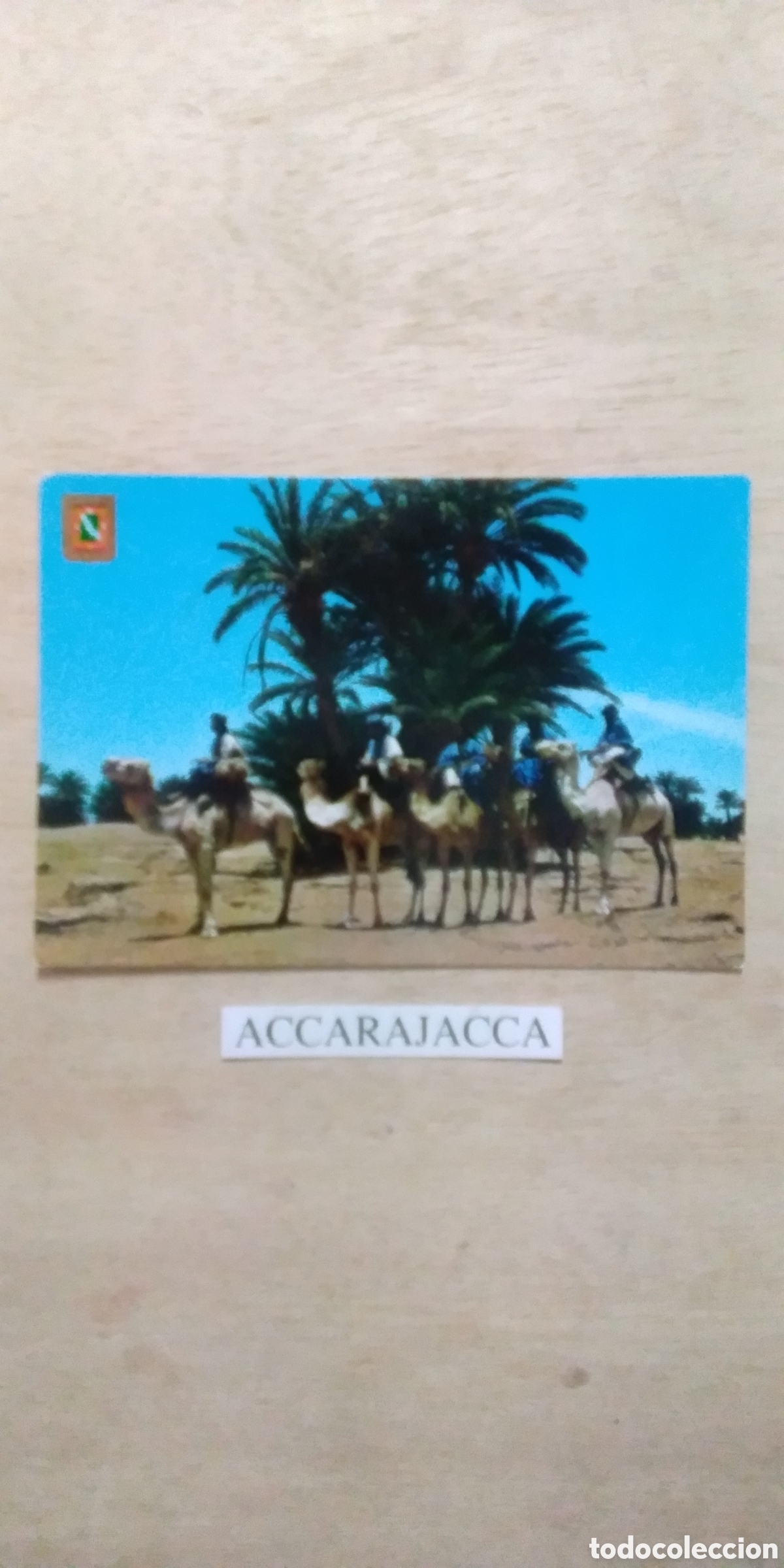 Alte Fotografie: Postal S&aacute;hara Espa&ntilde;ol. Caravana