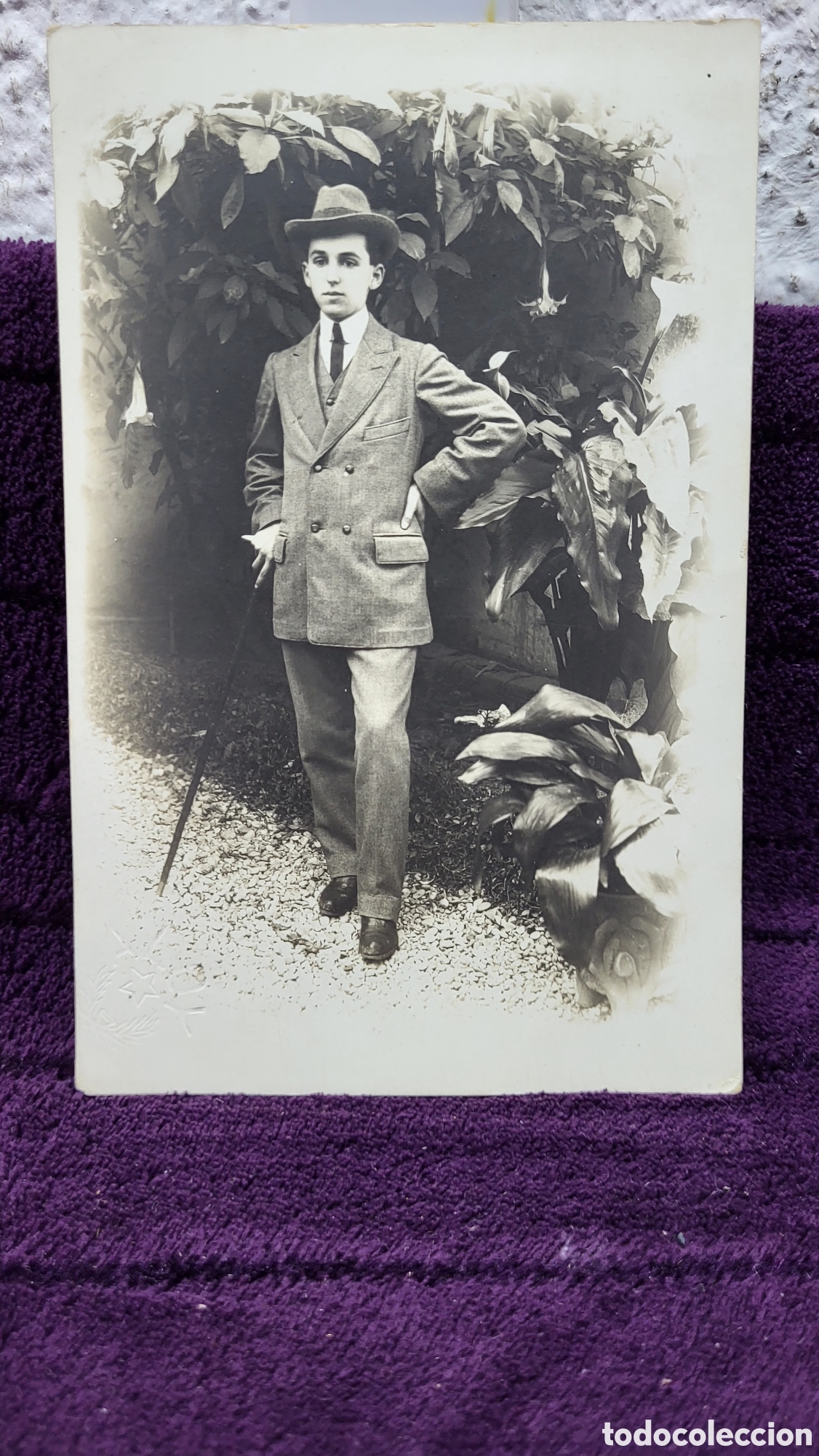 Antique Photography: Fotograf&iacute;a antigua alb&uacute;mina