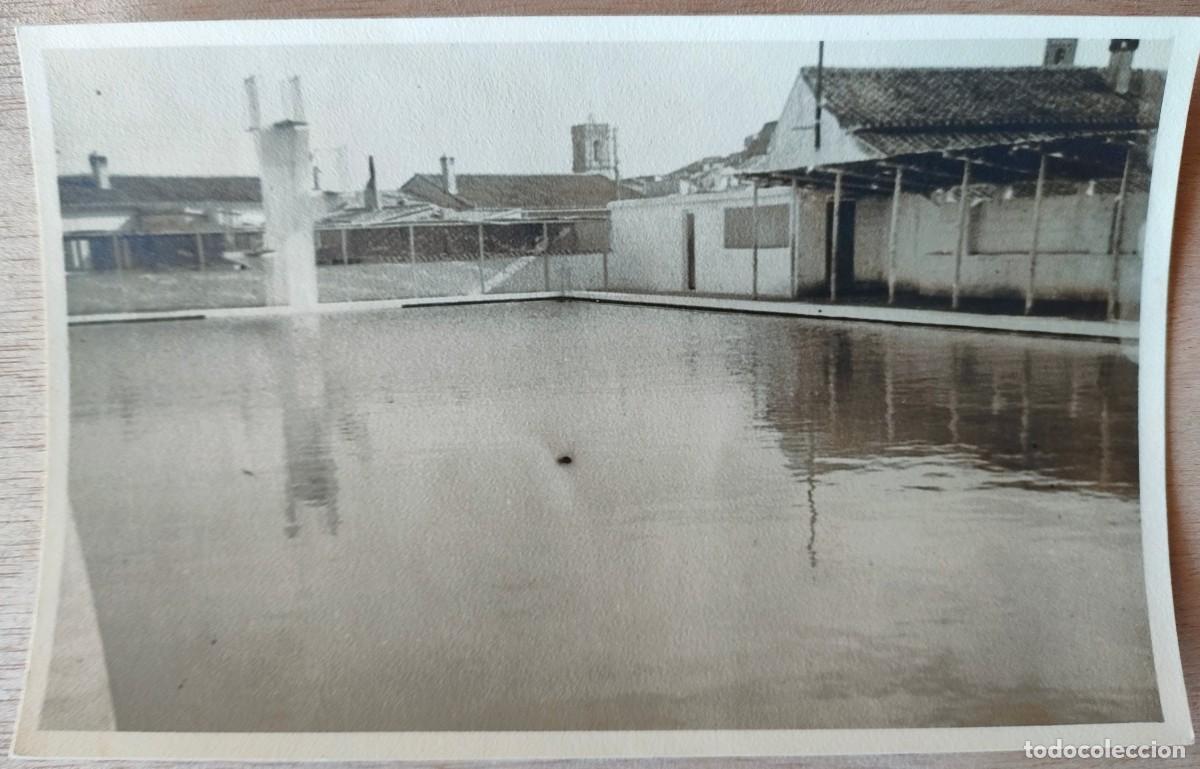 Fotografia antiga: CHIVA VALENCIA TAMAÑO POSTAL