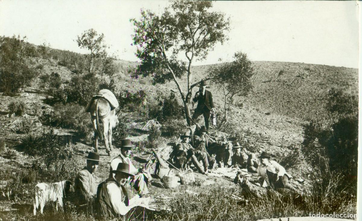 Fotograf&iacute;a antigua: PARTIDA DE CAZA. CAZADORES Y SUS PERROS. FOTOGRAFICA. HACIA 1920. LUGAR A IDENTIFICAR.