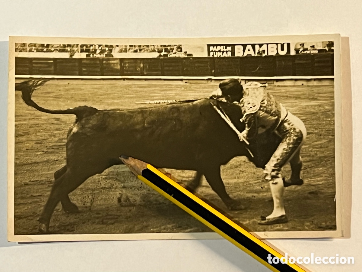 Fotografia antiga: TAUROMAQUIA Toros. Fotograf&iacute;a Alternativa Eleuterio Fauro.. ? Plaza de Toros Madrid ? (h.1945?)