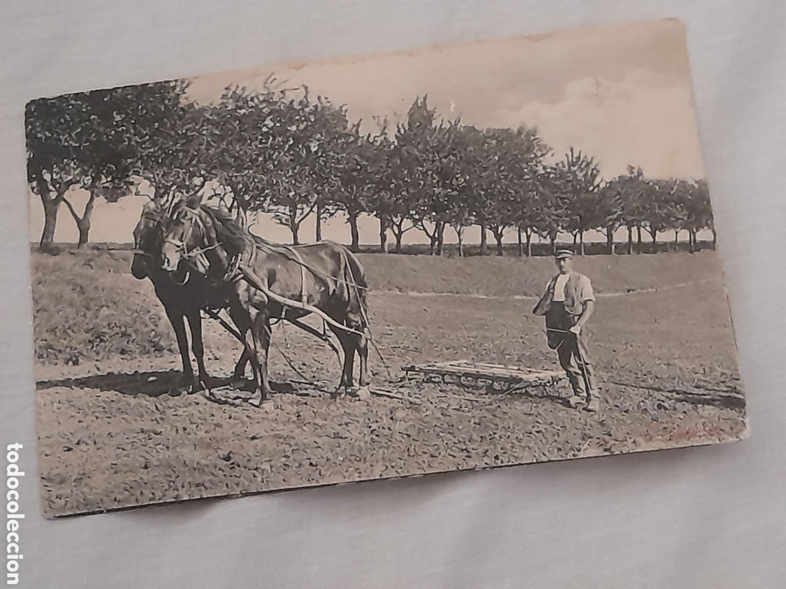 Fotografia antiga: Antigua postal fotogr&aacute;fica, Agricultor arando, principio del 1900