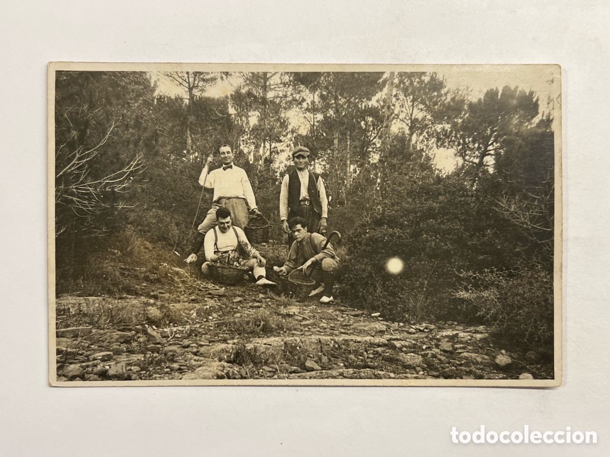 Alte Fotografie: MAESTRAZGO (Castellon) Fotografia antigua recogiendo Rebollones y Boletus.. (h.1930?)